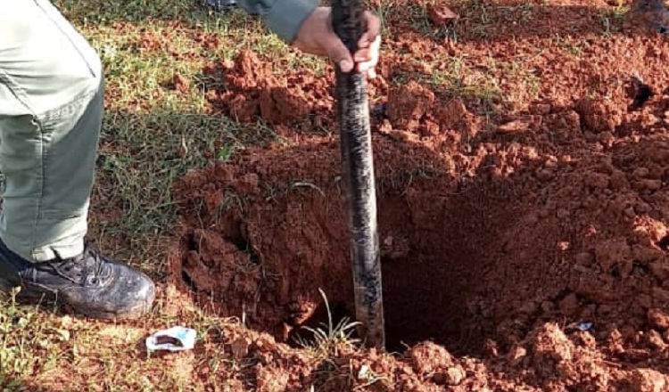 Hace dos semanas, dos pistolas y municiones fueron halladas cerca del pabellón 14.  Foto: Cortesía