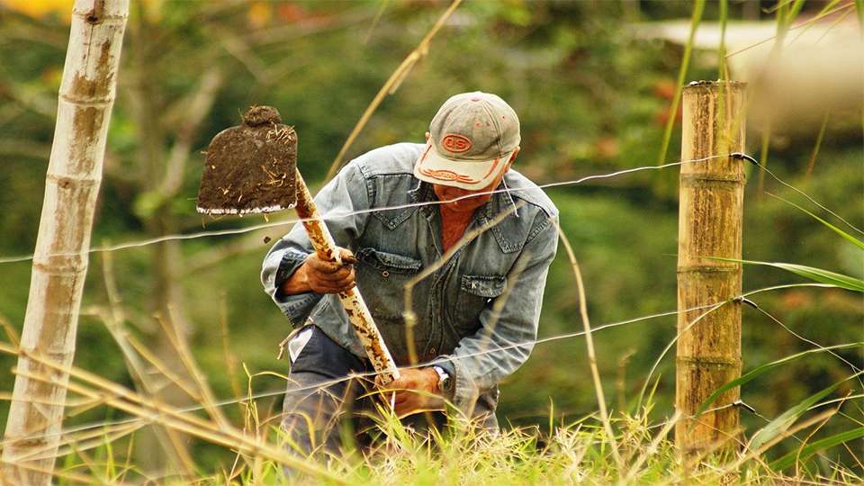 El sector agrícola aporta apenas el 3% del Producto Interno Bruto. Foto: Archivo