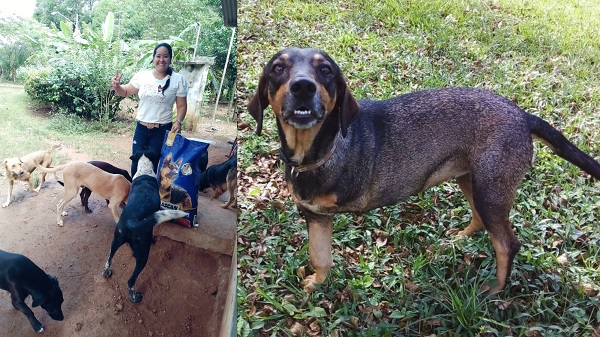 Los cambios y avances de las mascotas son evidentes. 