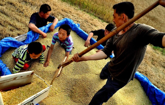 El índice de precios de los alimentos de la FAO alcanzó en 2021 un promedio de 125.7 puntos. Foto: EFE