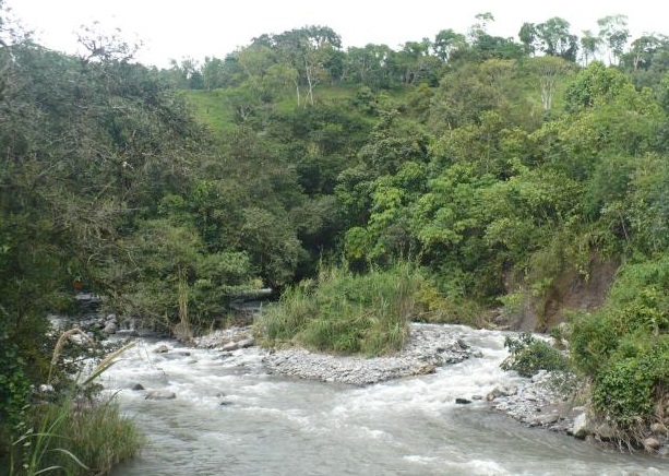 La cuenca hidrográfica del río Chiriquí Viejo se ubica al oeste de Chiriquí, cerca de Costa Rica. Foto: Mayra Madrid 