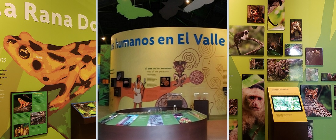 Un lugar de esparcimiento y aprendizaje. Foto: Fanny Arias