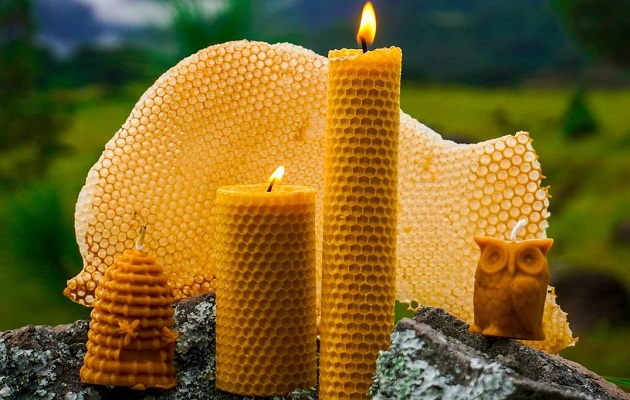 Las velas son elaboradas a mano con 100 % cera de abejas. Foto: Cortesía Luz Primitiva