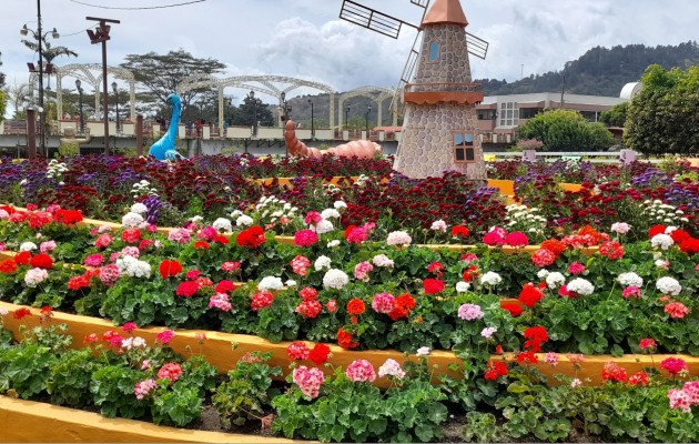 Los más de 23 jardines están en su máxima floración, lo cual es una garantía para que los visitantes puedan disfrutar de la variedad de colores y diseños de los jardines. Foto. José Vásquez