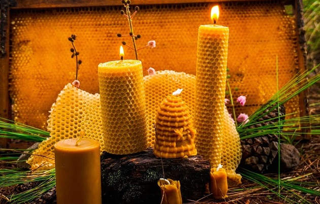 Velas de miel': El emprendimiento chiricano que combina ecología y  artesanía