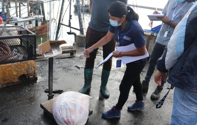 Arap sancionan embarcaciones que navegaban de forma irregular en Chame. Foto: Cortesía