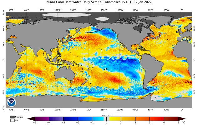 Las anomalías de temperatura cerca del litoral pacífico de Panamá no  son negativas. Foto: Cortesía