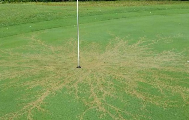 En Estados Unidos los rayos caen con más frecuencia en los campos de golf. Foto ilustrativa