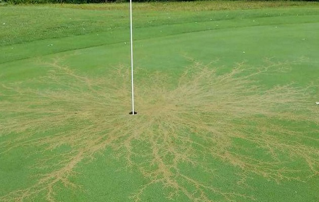 En Estados Unidos los rayos caen con más frecuencia en los campos de golf. Foto ilustrativa En Estados Unidos los rayos caen con más frecuencia en los campos de golf. Foto ilustrativa
