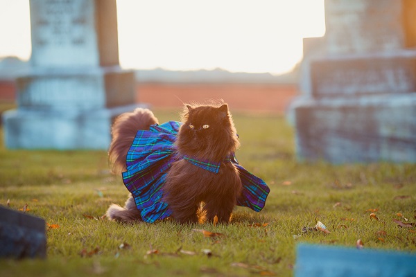 Los cambios bruscos de temperatura pueden causarle problemas respiratorios. Los cambios bruscos de temperatura pueden causarle problemas respiratorios.