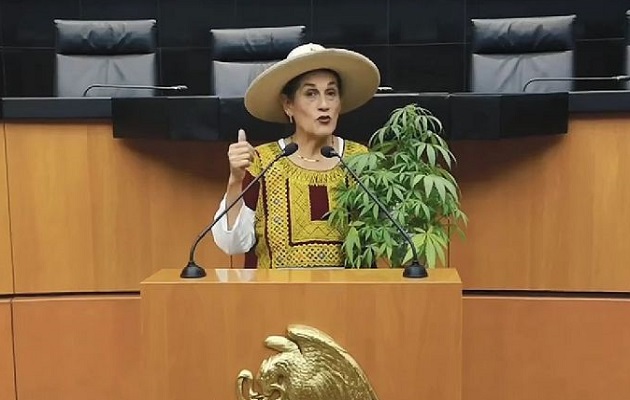 Jesusa Rodríguez es defensora de la marihuana. Foto: Cortesía