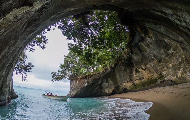 La isla Escudo de Veraguas posee varias especies únicas en el planeta, de ahí su importancia. Cortesía: Mi Ambiente