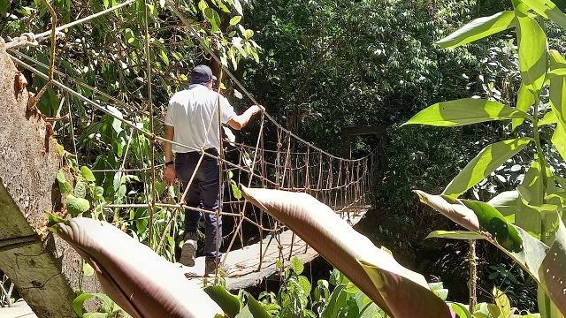 Puente colgante camino al Chorro El Macho. Foto: Belys Toribio