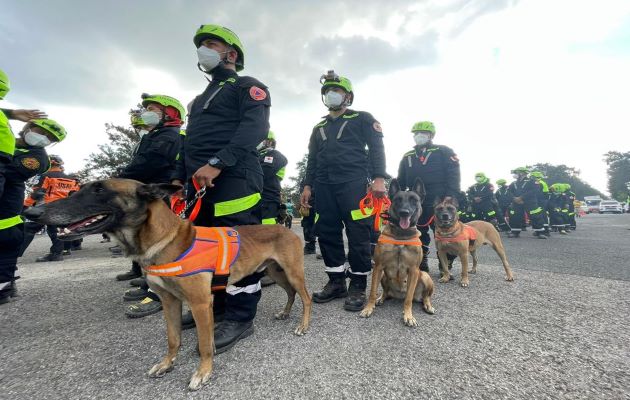 Rescatistas panameños participan de constantes capacitaciones nacionales e internacionales. Foto: Cortesía Sinaproc