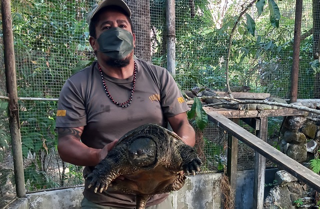 Mario Urriola, biólogo y administrador del Serpentario y Centro de Rescate de Animales Maravillas Tropicales. Foto: Belys Toribio 