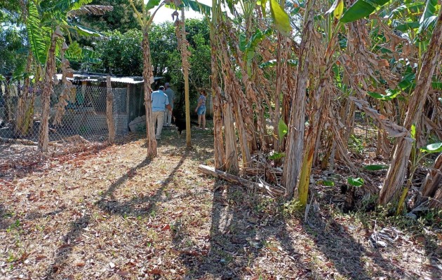 El año pasado en la provincia de Herrera se confirmó un solo caso de Hantavirus, ubicado en el distrito de Parita. Foto. Thays Domínguez