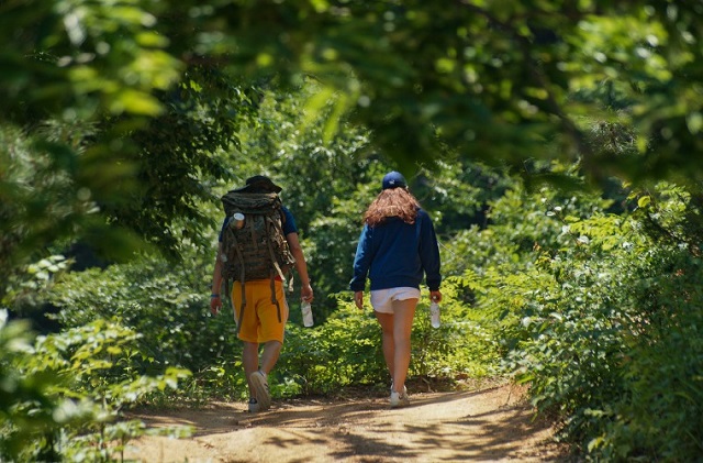 Caminata en el bosque. Foto: Ilustrativa / Pixabay