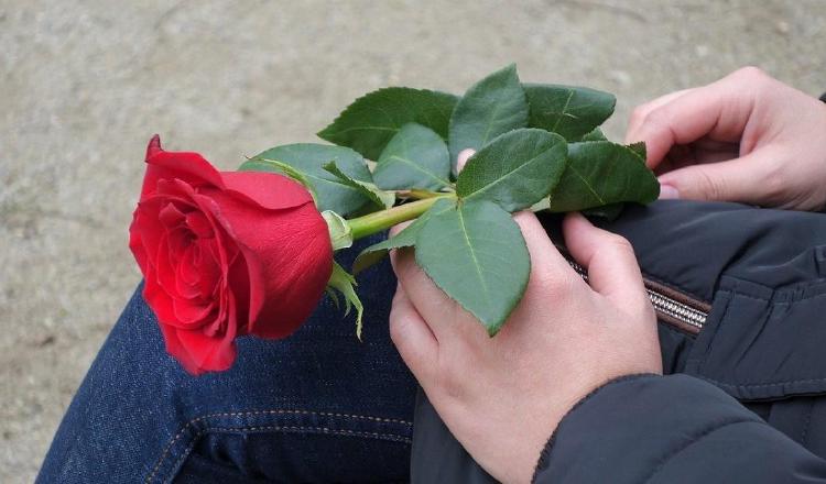 Aun en la soltería se puede disfrutar del Día de los Enamorados. Pixabay