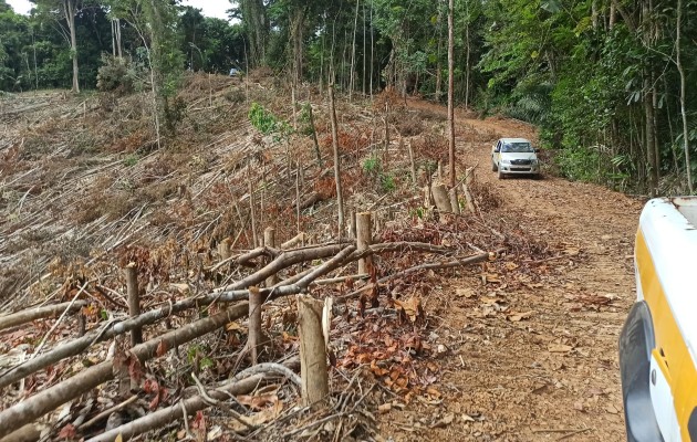 Fue notorio el movimiento de tierra como también, el corte de un camino ilegal de tres kilómetros aproximadamente. Foto. Cortesía MiAmbiente