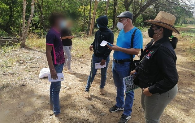 De reiterarse la contratación de menores se procederá a sancionar a los propietarios de las fincas por incumplimiento a la ley que prohíbe la contratación de menores en actividades agrícolas. Foto. José Vásquez