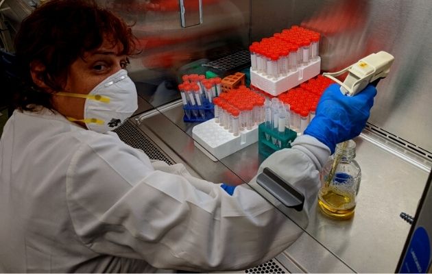 Panamá investiga el uso de radiación de microondas para combatir la malaria. Foto: Cortesía