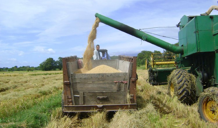 El Gabinete Agropecuario ha tramitado al menos 6 leyes y más de una decena de Resoluciones que benefician al sector agropecuario. Foto: Archivo
