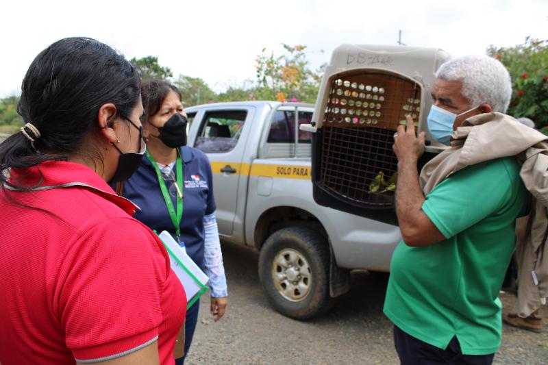 La captura, recolección, transporte y comercio de las especies silvestres, productos y subproductos, partes y derivados de la vida silvestre, sin autorización del Ministerio de Ambiente es prohibido, en todo el territorio nacional. Foto. Cortesía de MiAmbiente