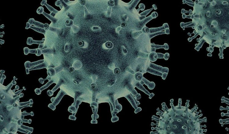 El cáncer es una de las enfermedades más complejas. Pixabay