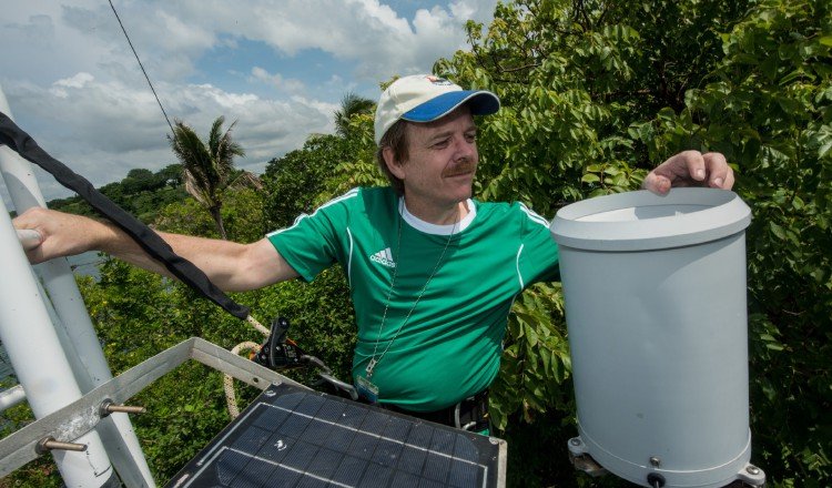 Steven Paton, director del Programa de Monitoreo Físico del Smithsonian, durante sus labores. Foto: Smithsonian