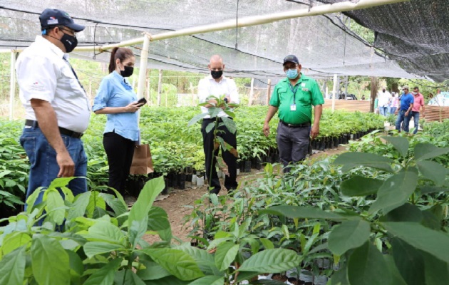 Se planifican varios proyectos en materia ambiental. Foto. Thays Domínguez