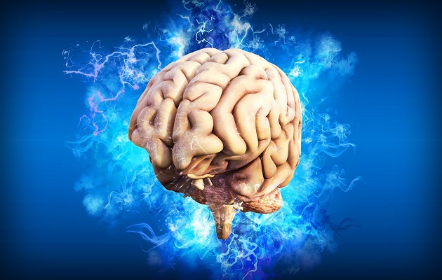 Los  expertos no saben si los cambios en el cerebro son permanentes. Foto: Pixabay