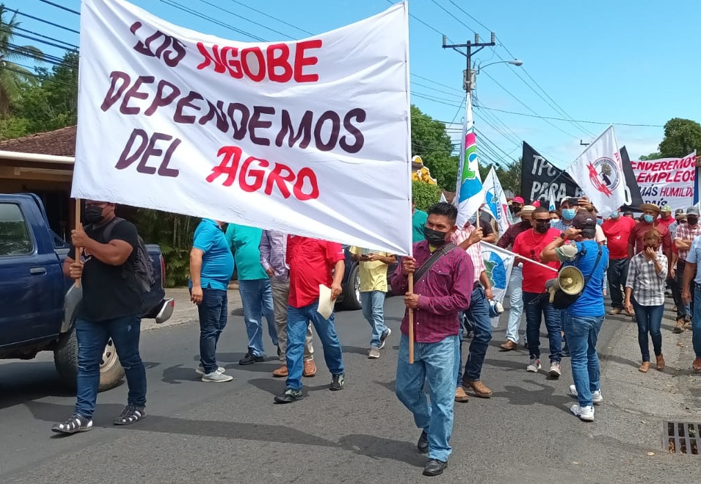 Los productores se concentraron en el parque Juan Demóstenes Arosemena de Santiago. Foto: Melquiades Vásquez
