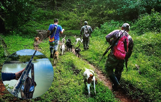 Los cazadores usan perros rastreadores para esta actividad. Foto: Caza legal Panamá