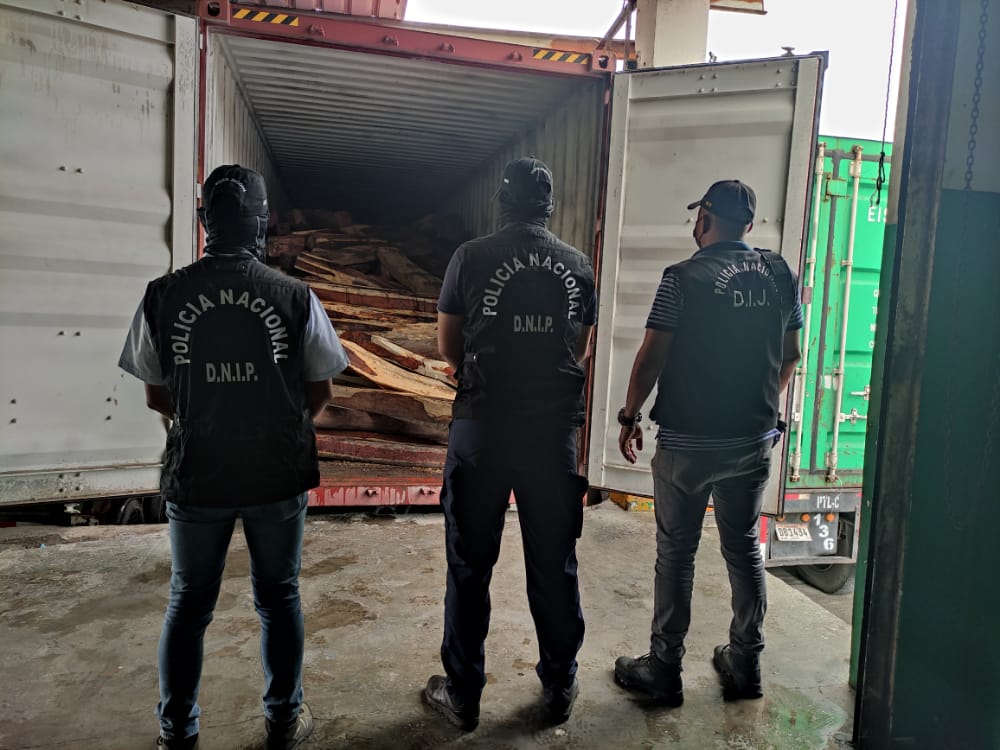 Se encontraron 350 tucas de madera de la especie Dalbergia retusa. Foto/Policía Nacional