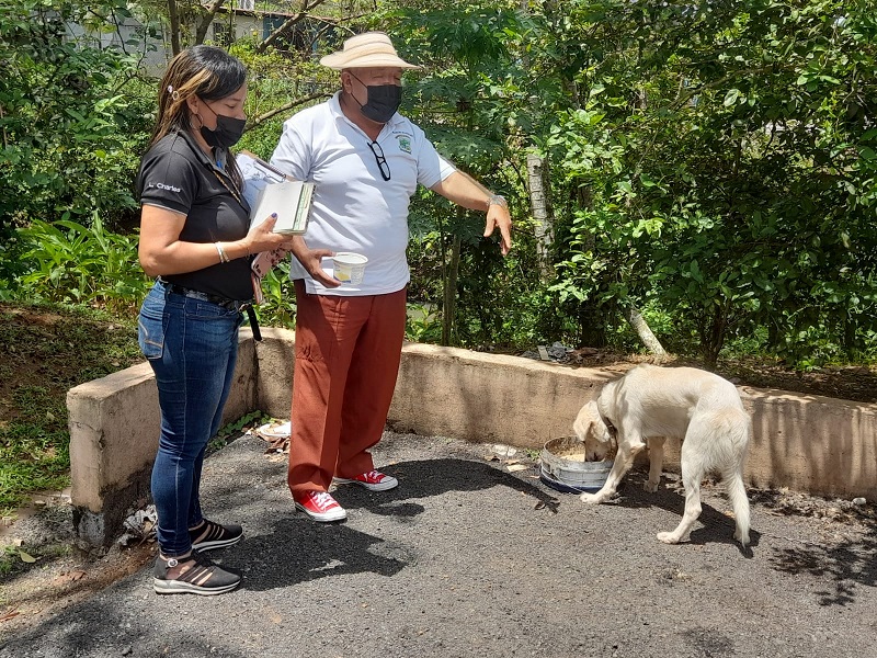 La mayoría de las denuncias son por abandono y maltrato animal. Foto: Eric A. Montenegro