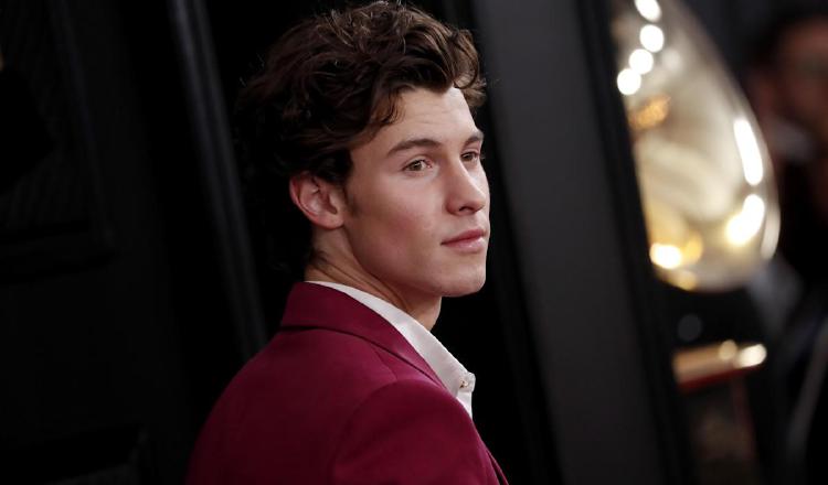 Shawn Mendes. Instagram