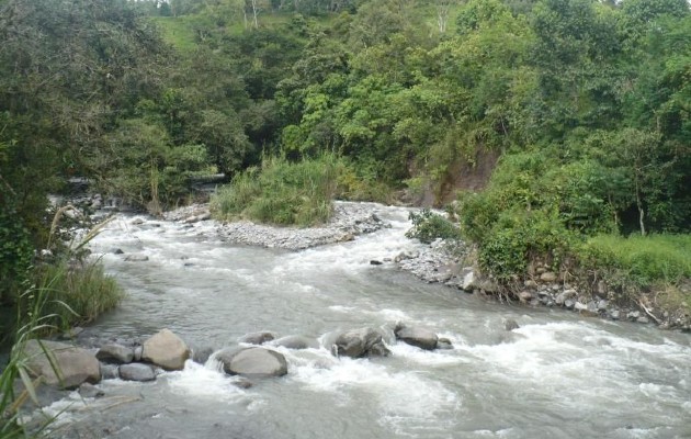 En la zona se identifican algunas fuentes de agua de mucha relevancia para la comunidad, como lo son: río Chiriquí Viejo, Macho Monte, quebrada Castillo, pozo Brisas del Norte y el pozo 6 de agosto. Foto. MiAmbiente