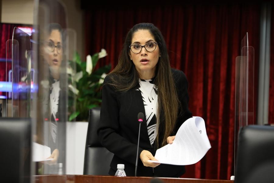 Zulay Rodríguez lamentó que organizaciones defiendan a los criminales. Foto: Asamblea Nacional