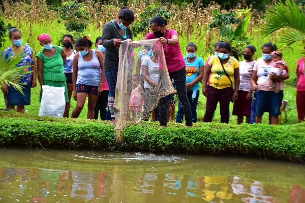 Aurelina Ortiz durante sus faenas en la parcela. Foto: Mides