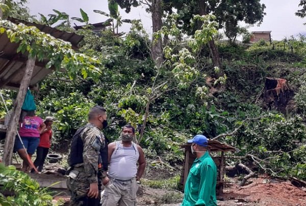 Hasta marzo de este año se han presentado unas 109 denuncias por delitos contra el ambiente. Archivo