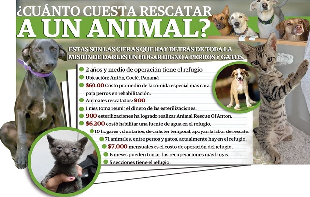 El rescate animal no es una tarea económica. 