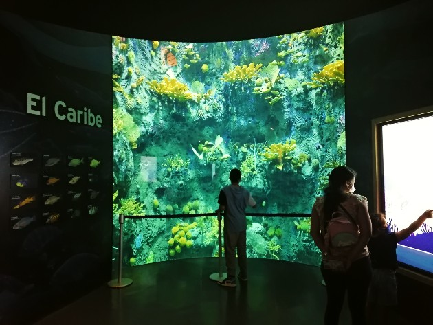 Acuario del Caribe en la exhibición 