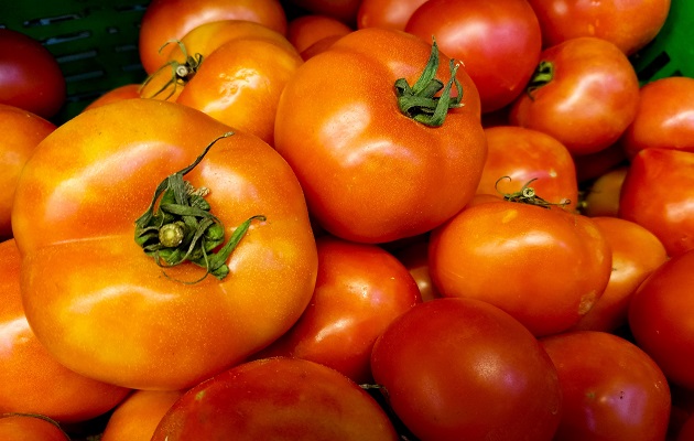 Los tomates con altas cantidades de plaguicidas fueron destruidos. Foto: Pexels