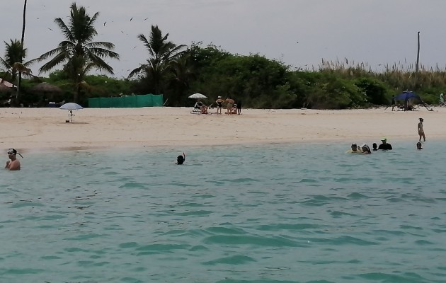 En jornadas de limpieza, los buzos han encontrado y retirado: plásticos, llantas, redes de pesca y líneas de pesca, entre los corales. Foto. Thays Domínguez