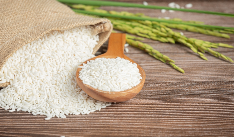 Las plantas con el gen potenciado produjeron casi un 10% más de arroz que el grupo de control empleado en las pruebas. Foto: Freepik