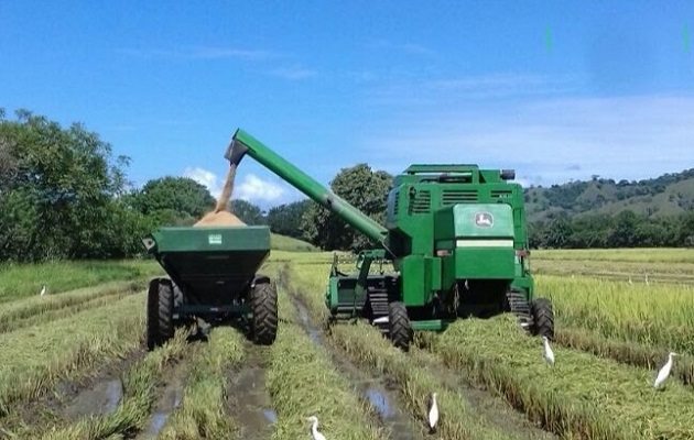 El subsidio  a la flota  agrícola se harán efectivo desde el viernes 10 de junio. Foto: Mida