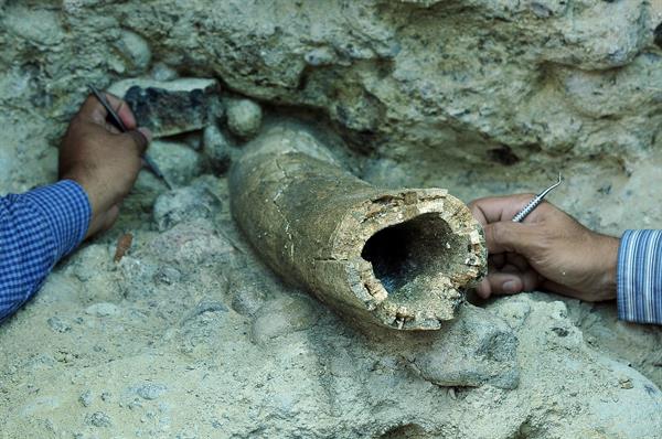 Colmillo de un mastodonte descubierto en Tegucigalpa (Honduras). 