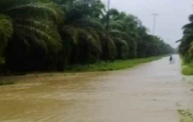 Se han desbordado los canales de las antiguas bananeras y el río Palo Blanco en Barú. Foto: Cortesía Sinaproc