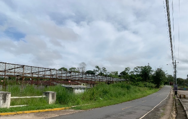 Las primeras inspecciones se han realizado en el corregimiento de Juan Demóstenes de Arosemena en donde se ubican varios lotes abandonados. Foto. Eric Montenegro