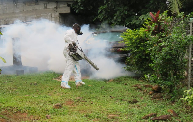  Semanas atrás, se intervinieron varias zonas residenciales encontrando potenciales criaderos de mosquito y larvas. Foto. Eric Montenegro